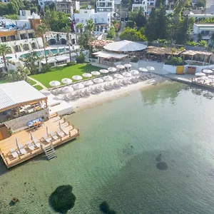5* Hotel Avantgarde Refined
